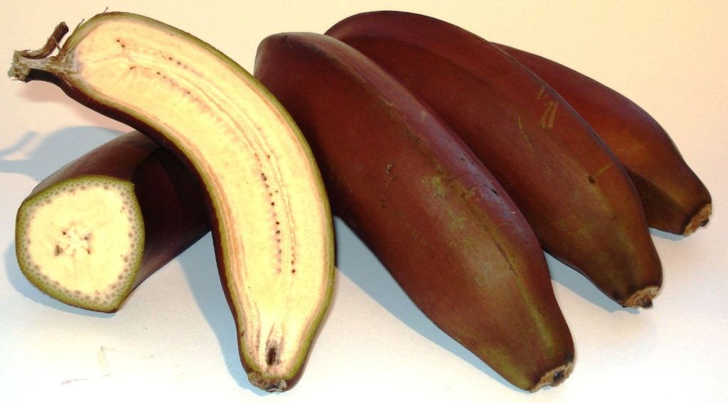 Rote Bananen (c) Genet